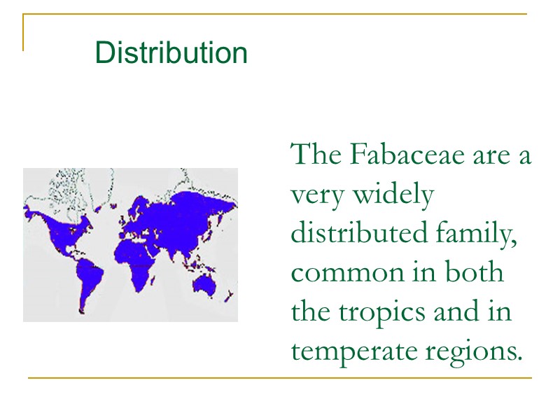 The Fabaceae are a very widely distributed family, common in both the tropics and